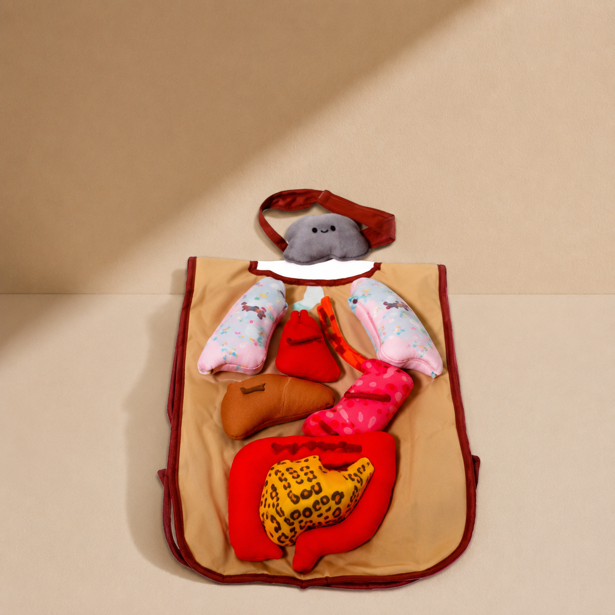 body organ display Apron