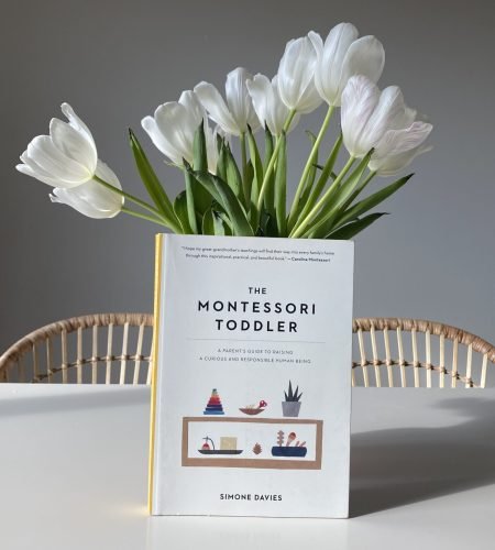 Nurturing Independence: Navigating the “No” Phase with Montessori Principles
