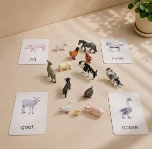 12 Mini Poultry models with corresponding cards