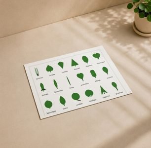 Botany Leaf Cabinet Control Chart