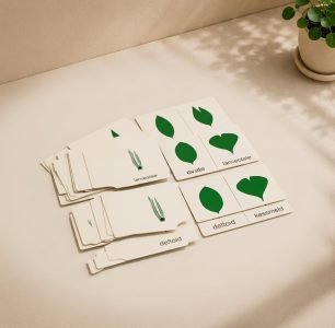 Nomenclature Cards for Botany Cabinet