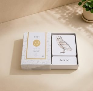 Three-part Cards -12pcs (Birds English only)
