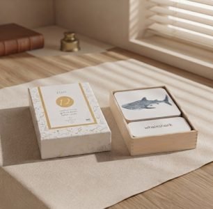 Three-part Cards-12pcs (Fish English only)