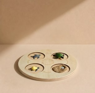 Turtle growth cycle